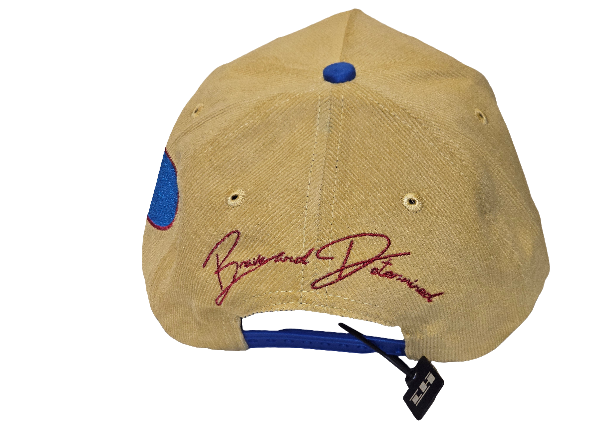 LH logo 5 panel Hat
